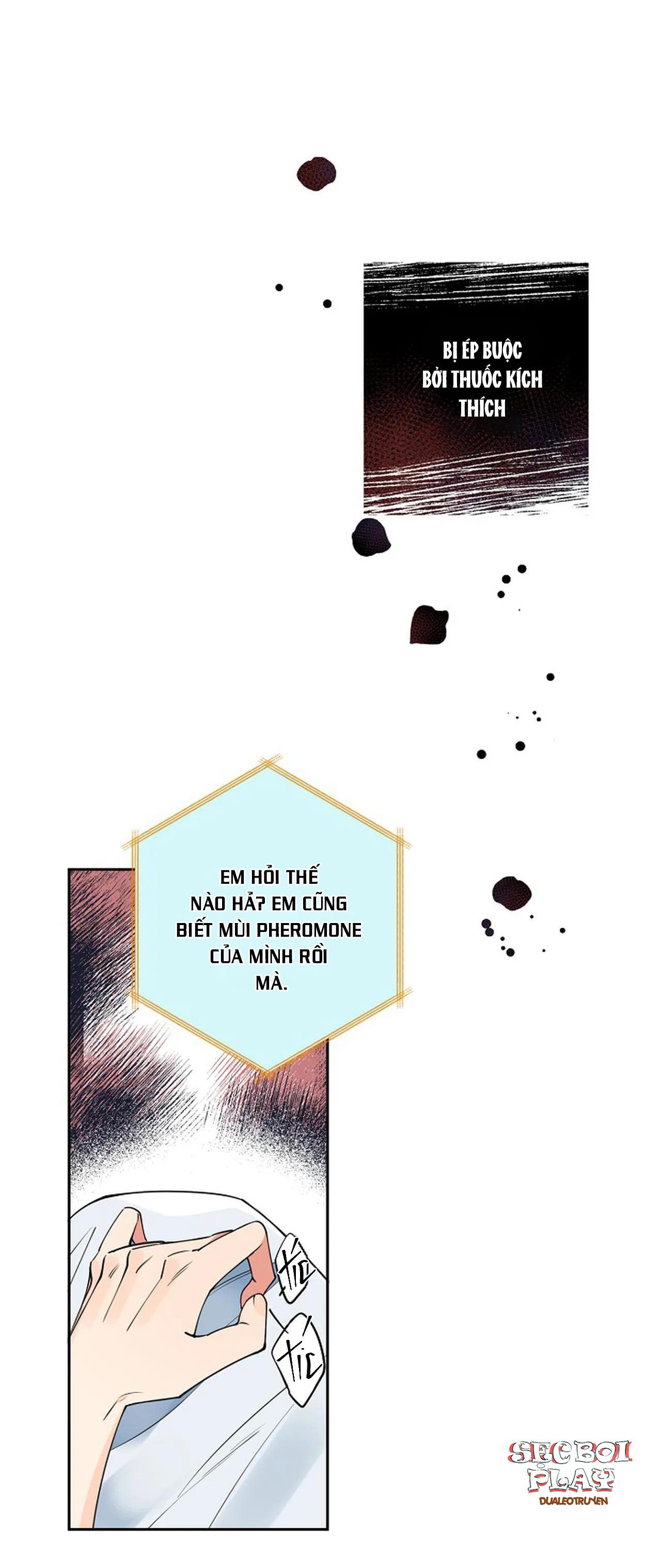 đêm dịu dàng chapter 16 17