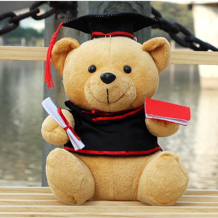 Gấu bông tốt nghiệp - Gấu bông cử nhân. Món quà ý nghĩa tặng người thân, bạn bè