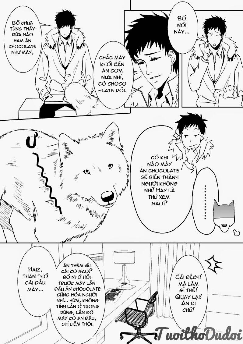 sự mê hoặc của sói chapter 13 9