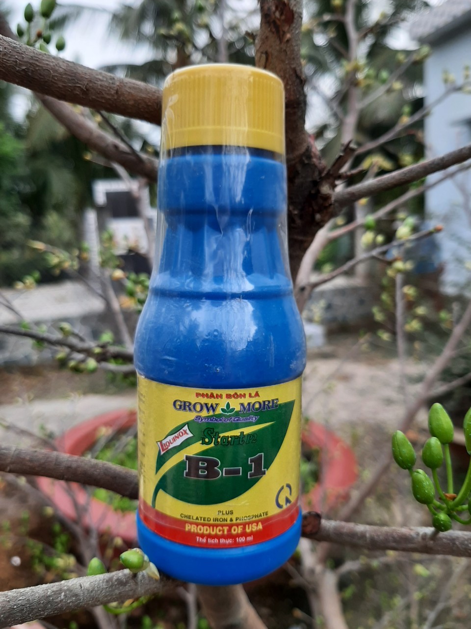 Phân bón lá cao cấp Growmore vitamin B1 kích rễ đâm chồi chai 100ml