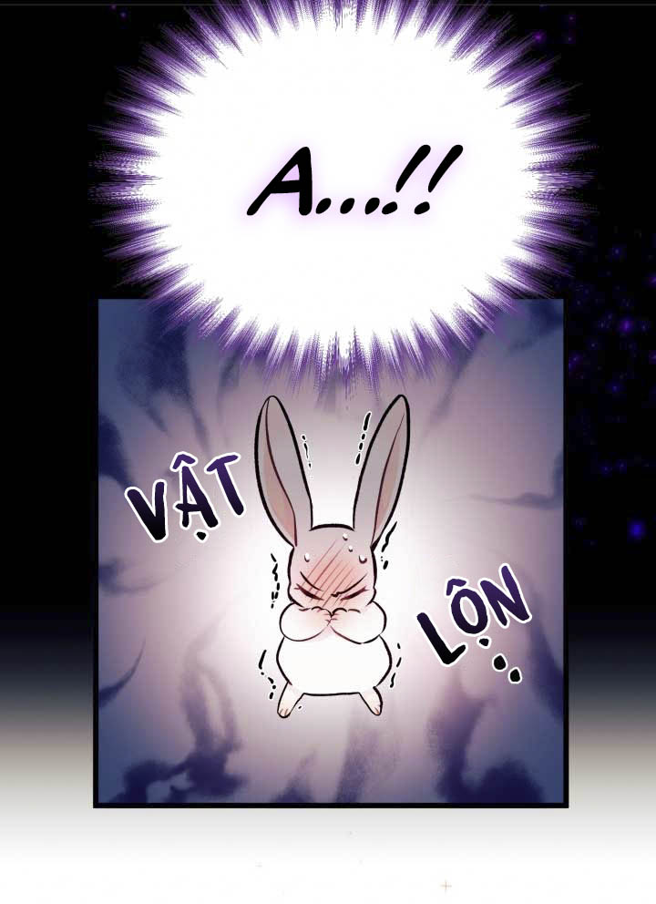 mối liên kết giữa báo đen và bé thỏ chapter 6 17