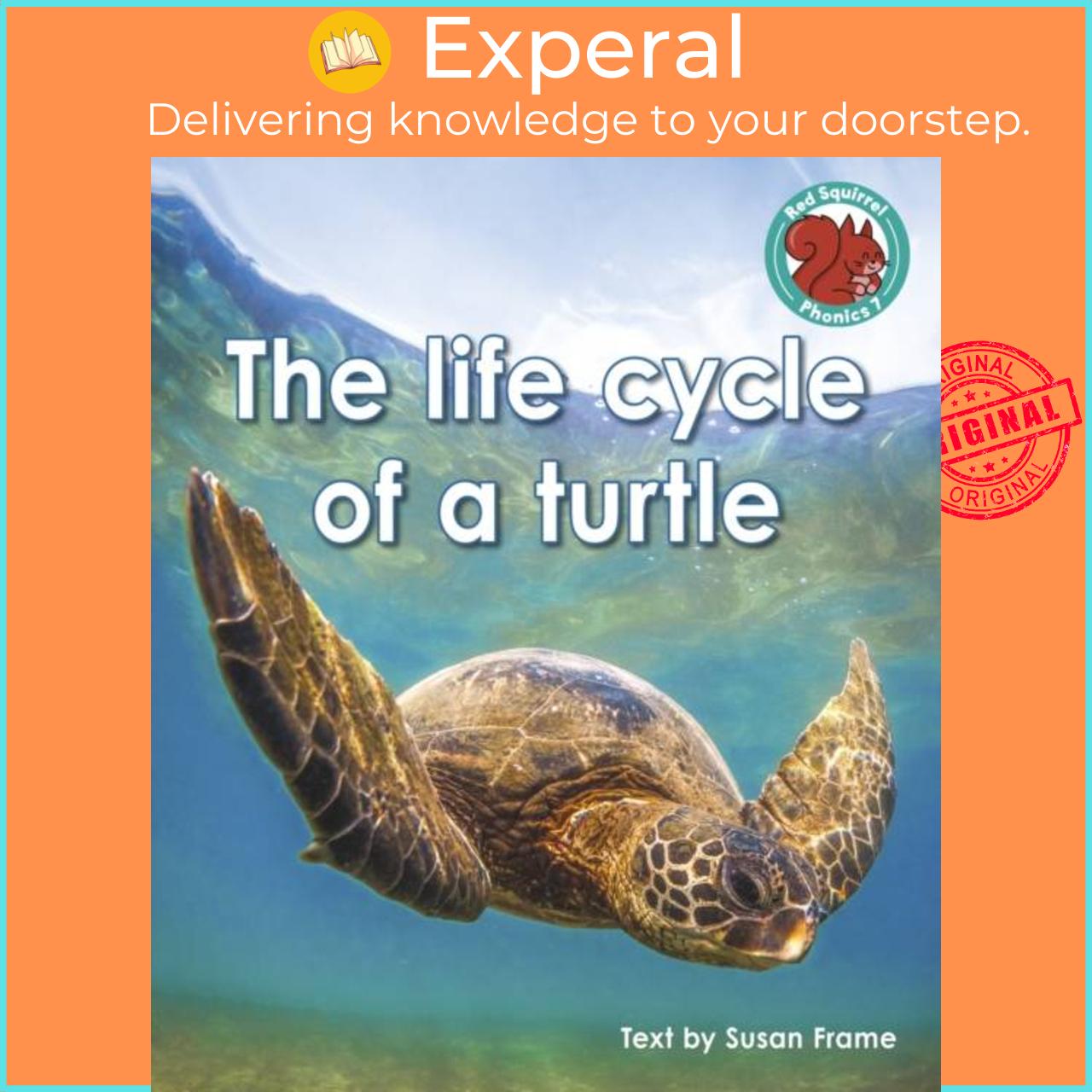 Sách - The life cycle of a turtle by Susan Frame (UK edition, paperback)