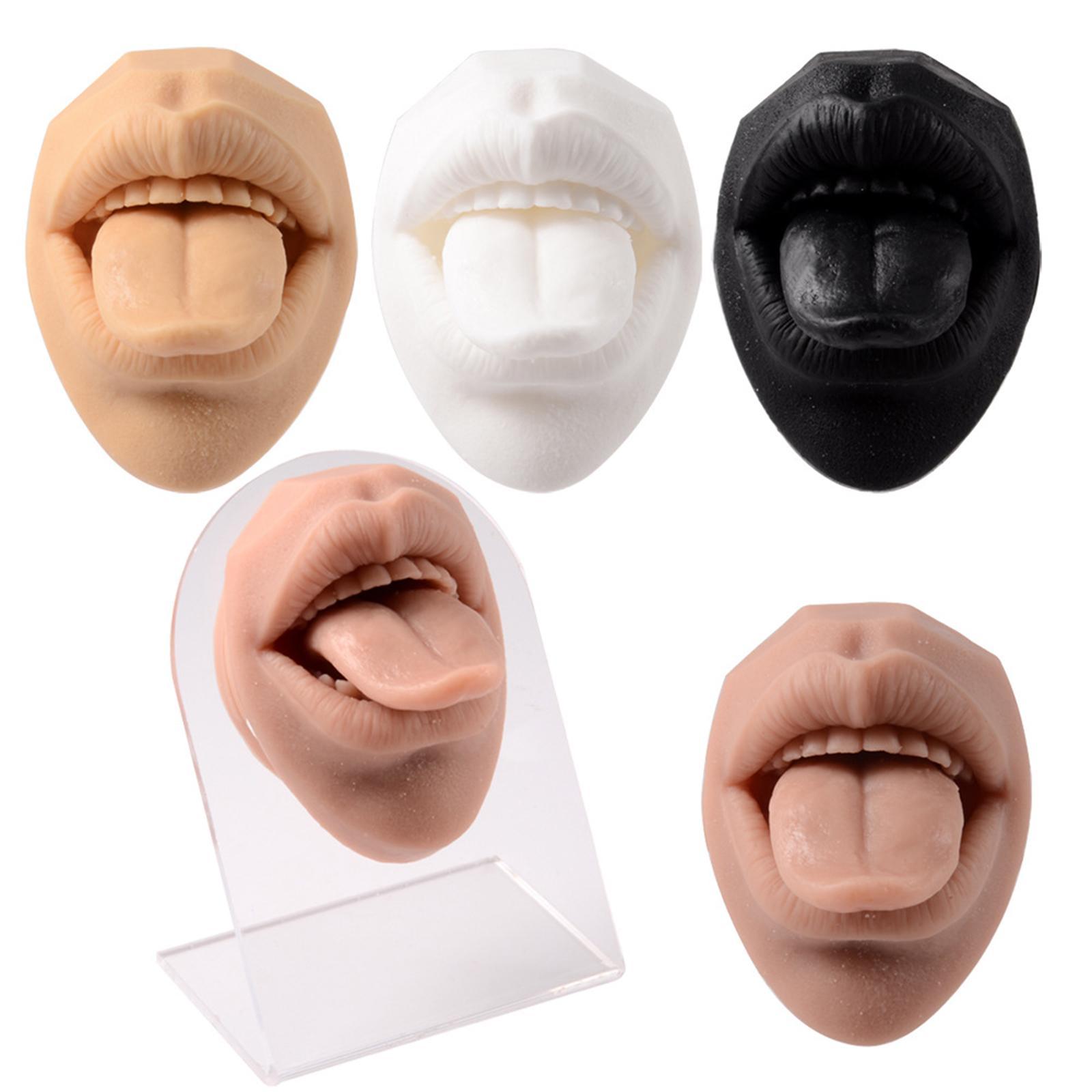 Silicone Mouth tongues Model Flexible Practice Tool Education Display