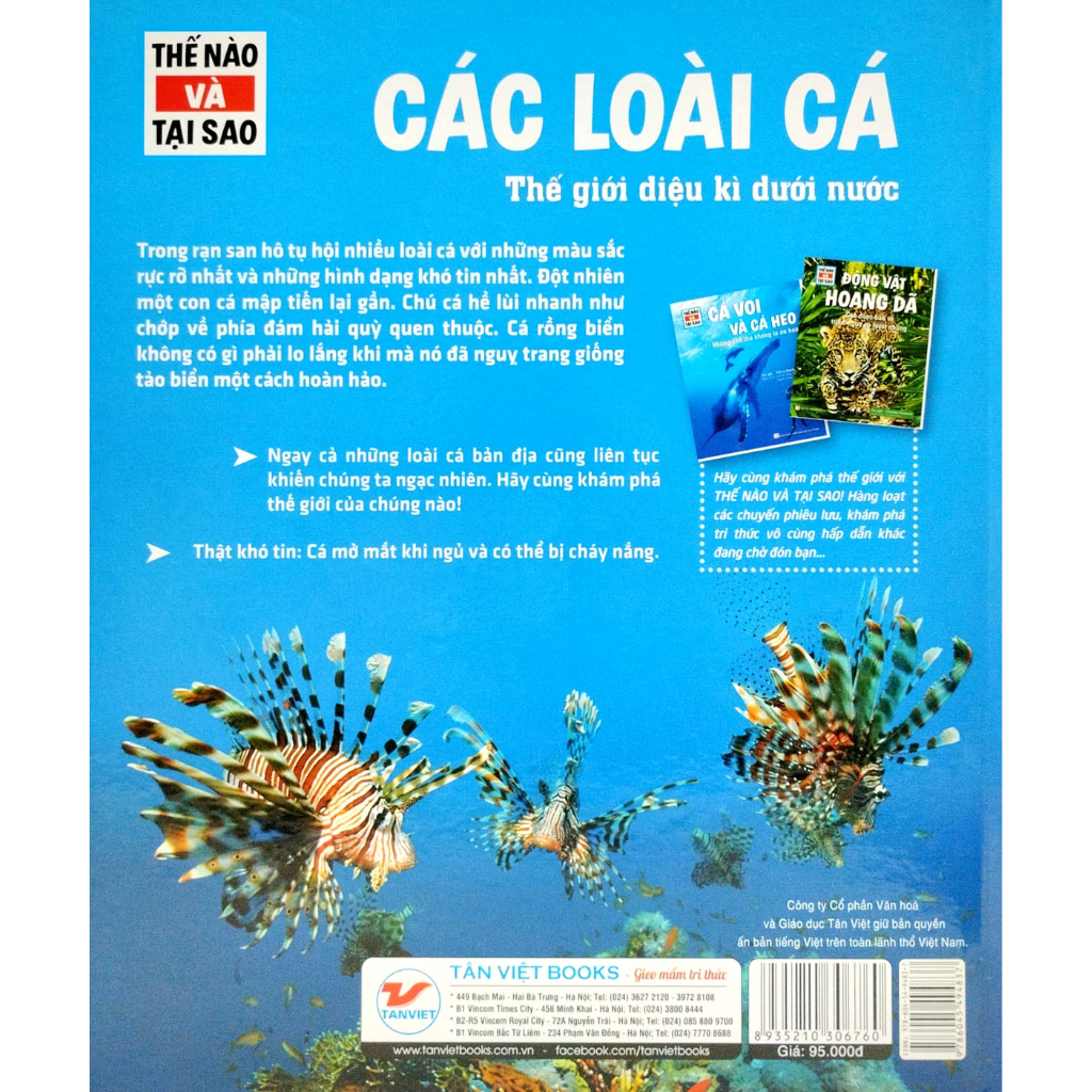 Thế Nào Và Tại Sao - Các Loài Cá- Thế Giới Diệu Kì Dưới Nước