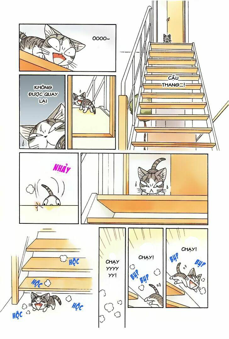 chi's sweet home chapter 78 9