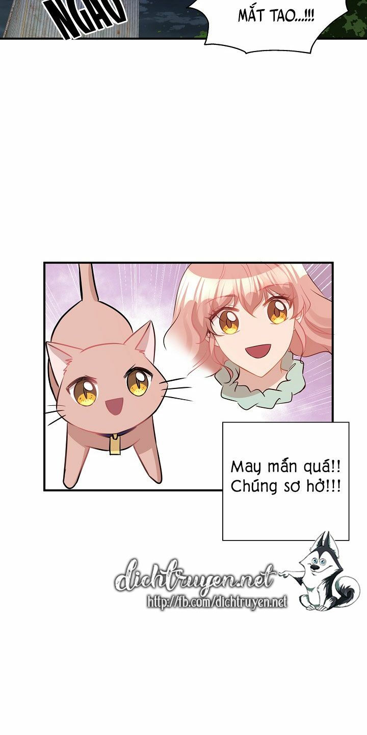 cuộc sống kỳ thú chapter 26 37
