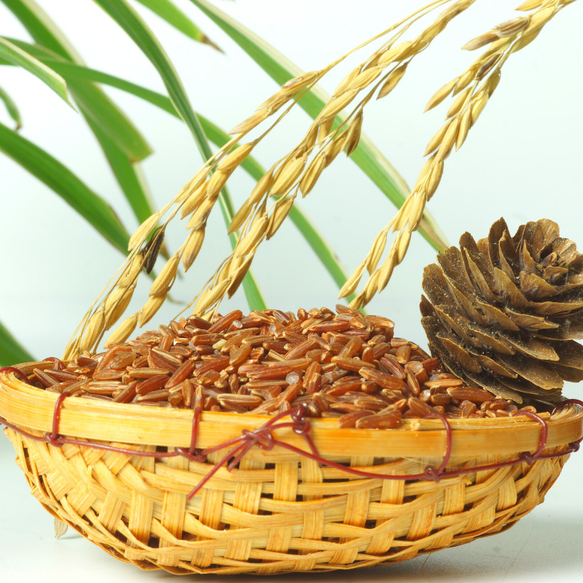Gạo lứt ăn kiêng GUfoods - Hỗ trợ Giảm cân - Thực dưỡng - Eat clean