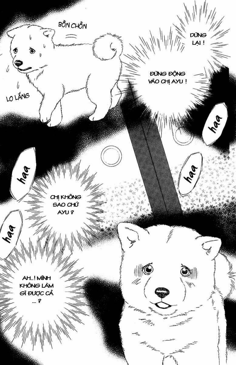 deep love - pao no monogatari chapter 11 2