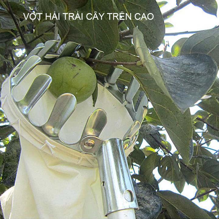 Vợt hái trái cây trên cao đa năng kèm túi vải, khung kim loại dày dặn