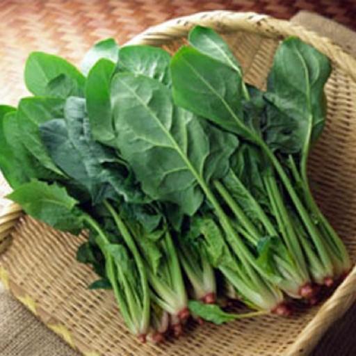 20G HẠT GIỐNG CẢI BÓ XÔI NĂNG SUẤT CAO