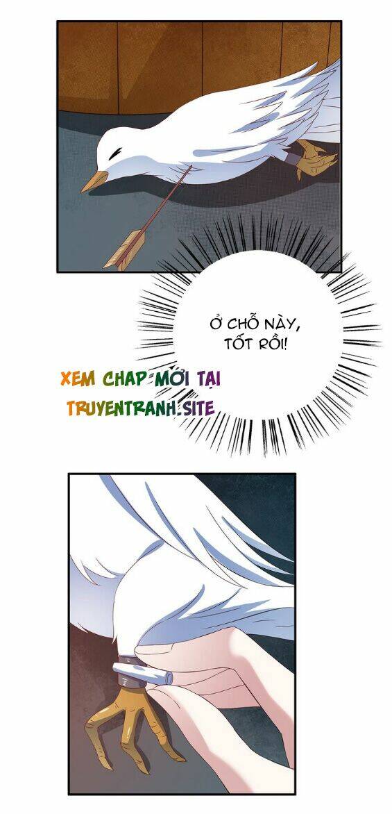 tuấn sủng có độc chapter 4 35