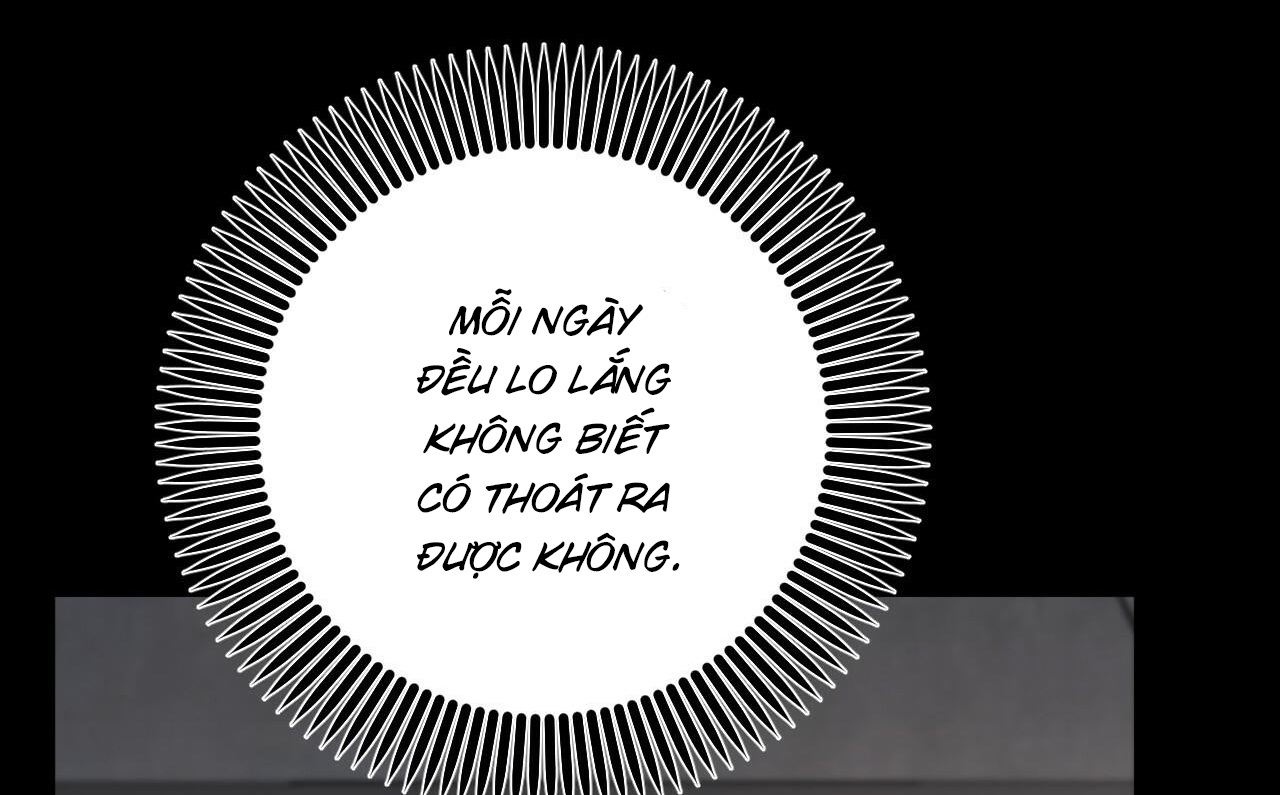 đàn thỏ của habibi chapter 52 22