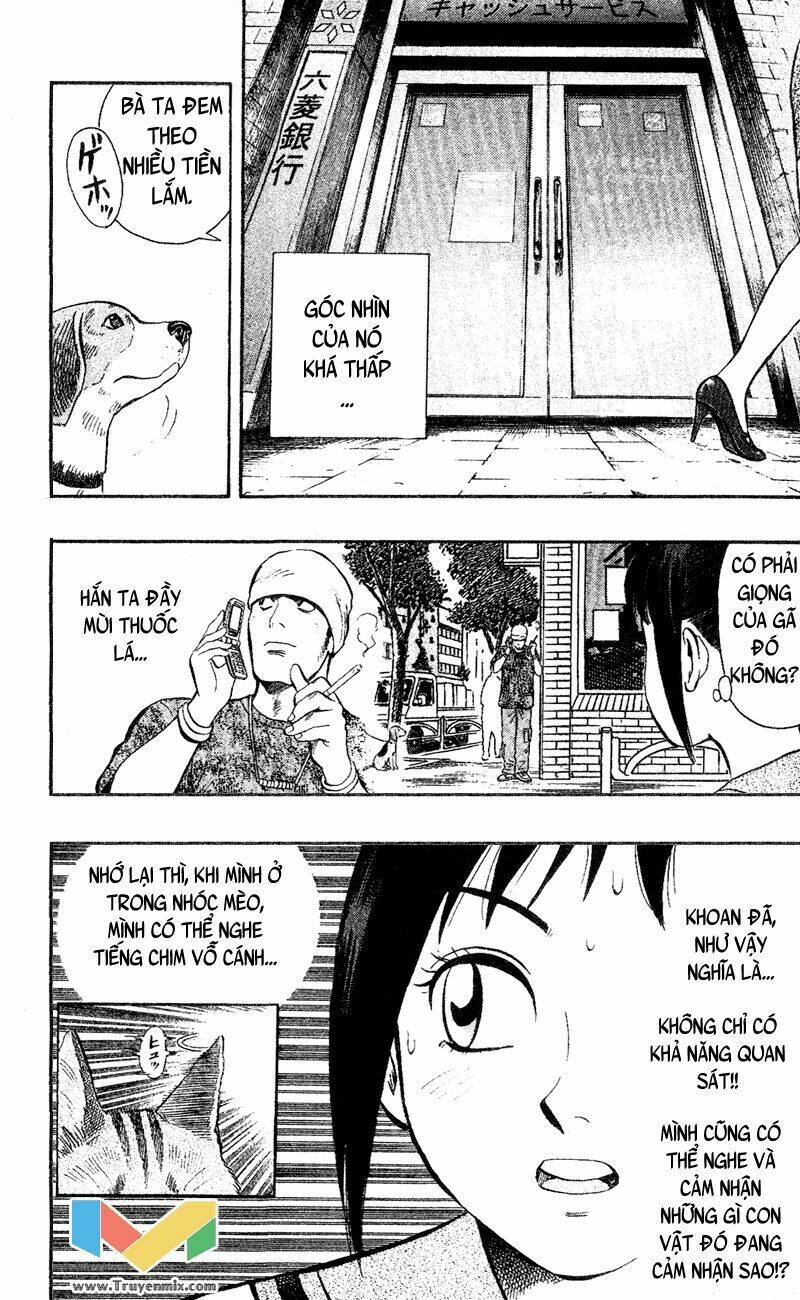 animal sense chapter 1 28