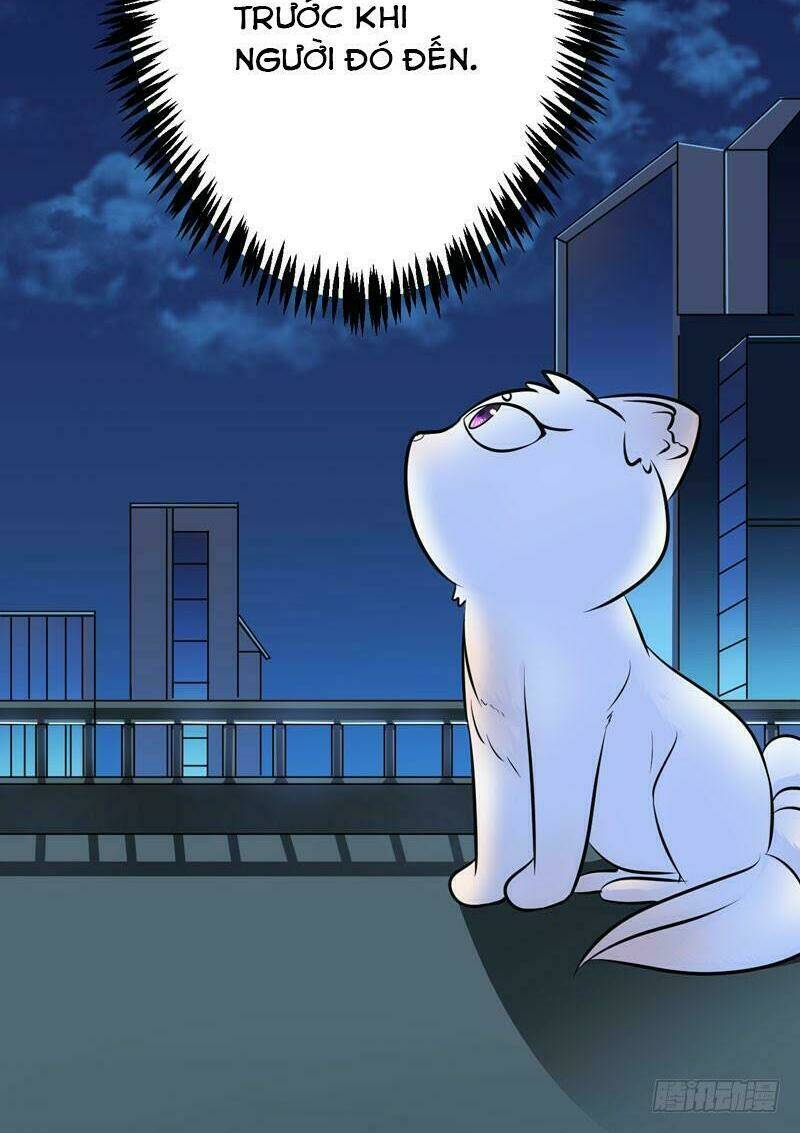 chinh phục bạn trai sao chổi chapter 3 45