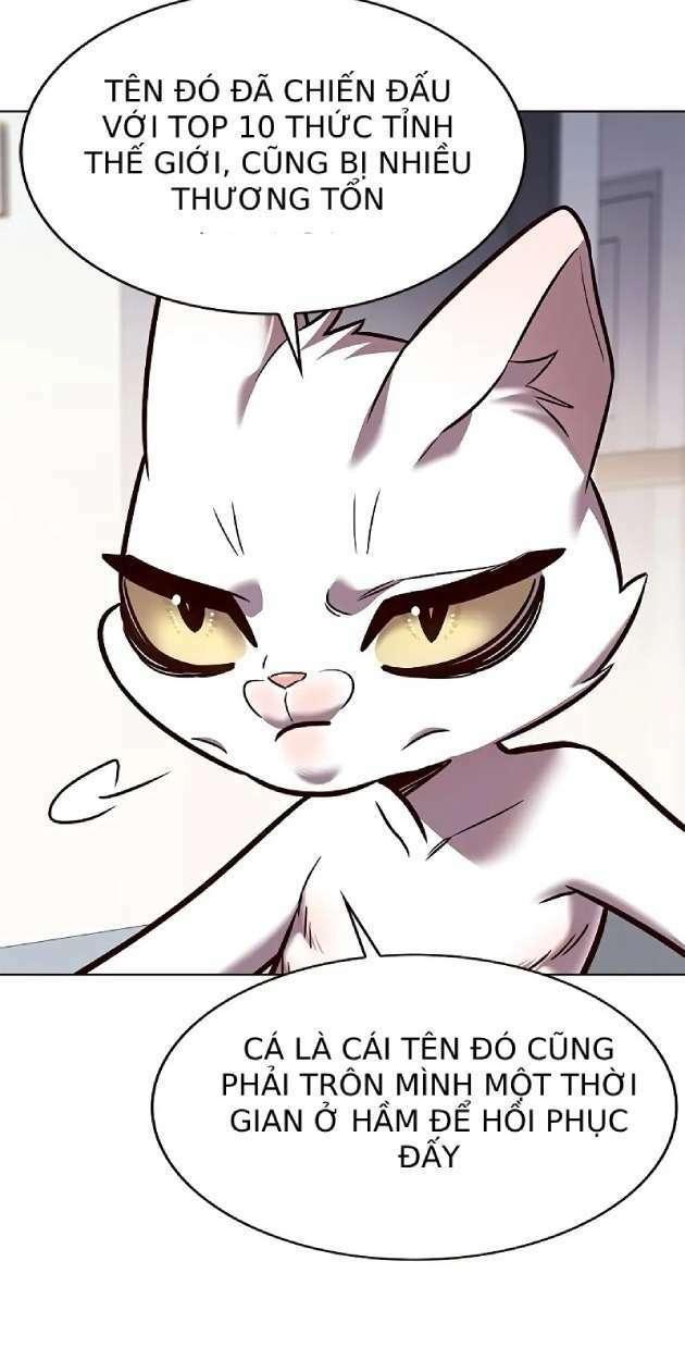 biến thân thành mèo chapter 263 9