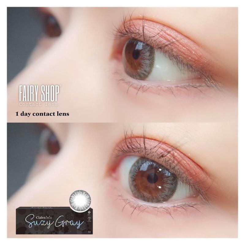 Lens 1 Ngày Suzy Gray - Kính Áp Tròng Cao Cấp 1 Ngày FAIRY SHOP CONTACT LENS