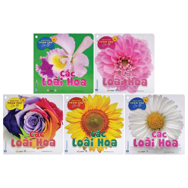 Combo Bách Khoa Toàn Thư Cho Bé - Bộ 10 Cuốn - Vanlangbooks
