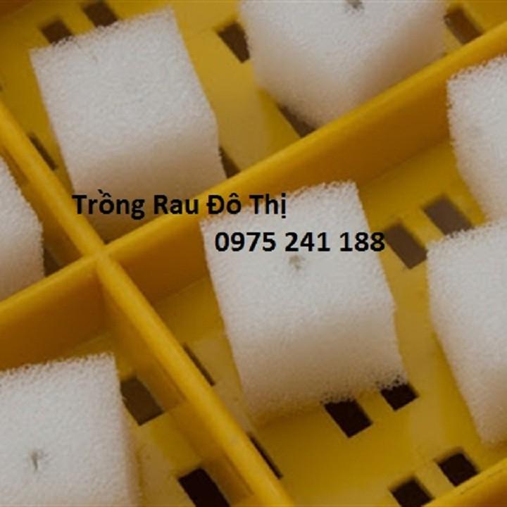 288 viên mút xốp ươm hạt kích thước 25 x 25 x 25mm hàng nhật chất lượng cao