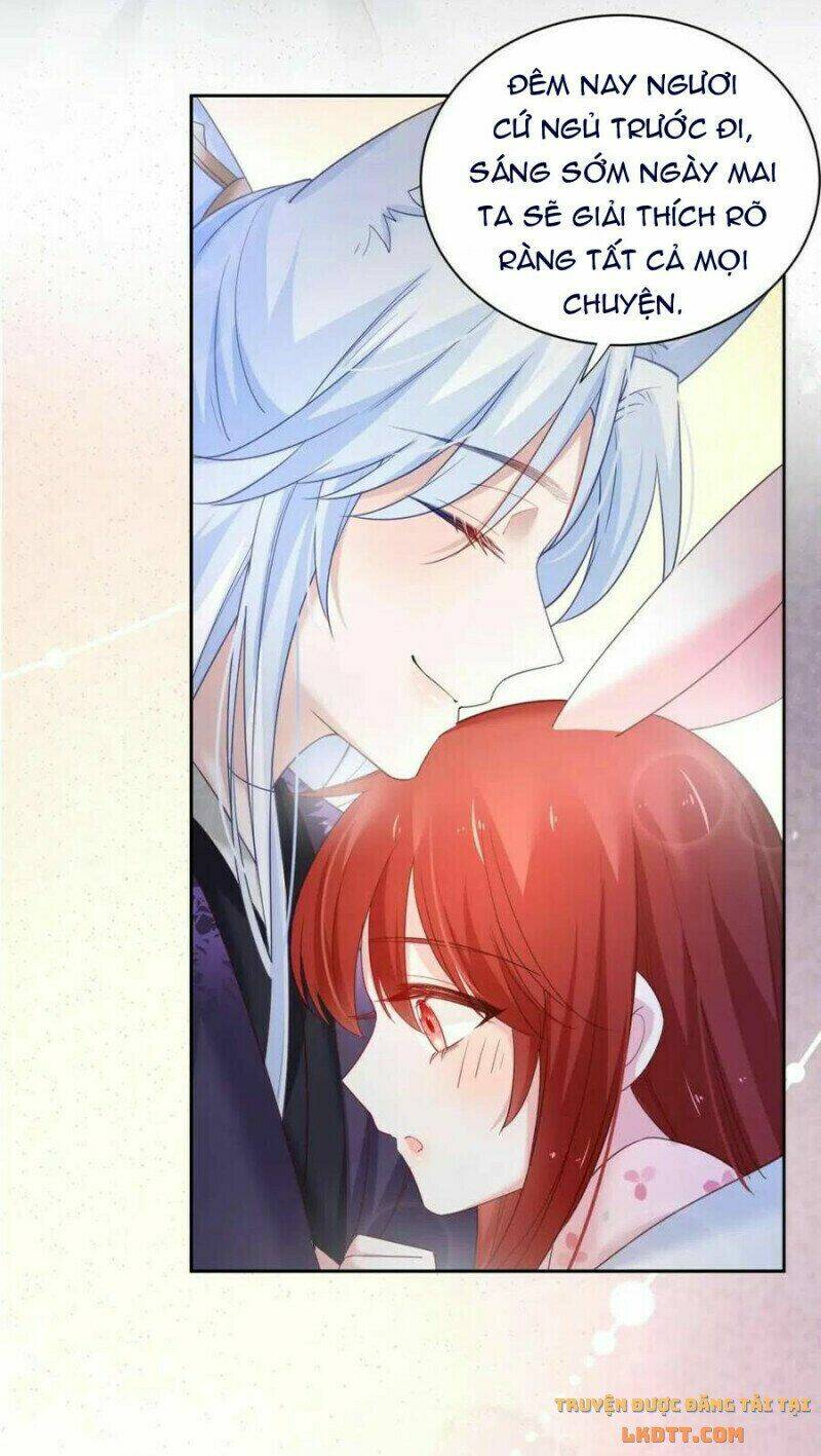 hắc hóa nam chính trực tuyến nuôi thỏ chapter 59 39