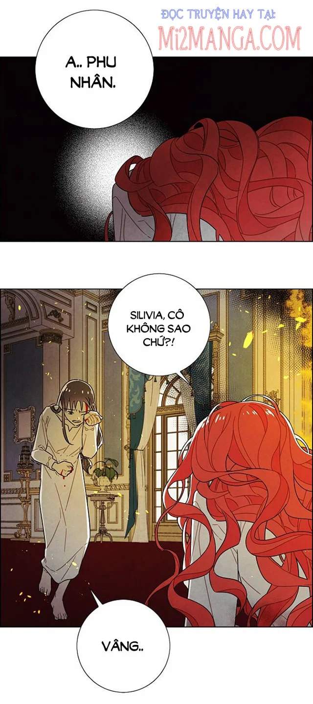 tôi đã cướp mất đêm đầu tiên của nam chính chapter 71.5 20