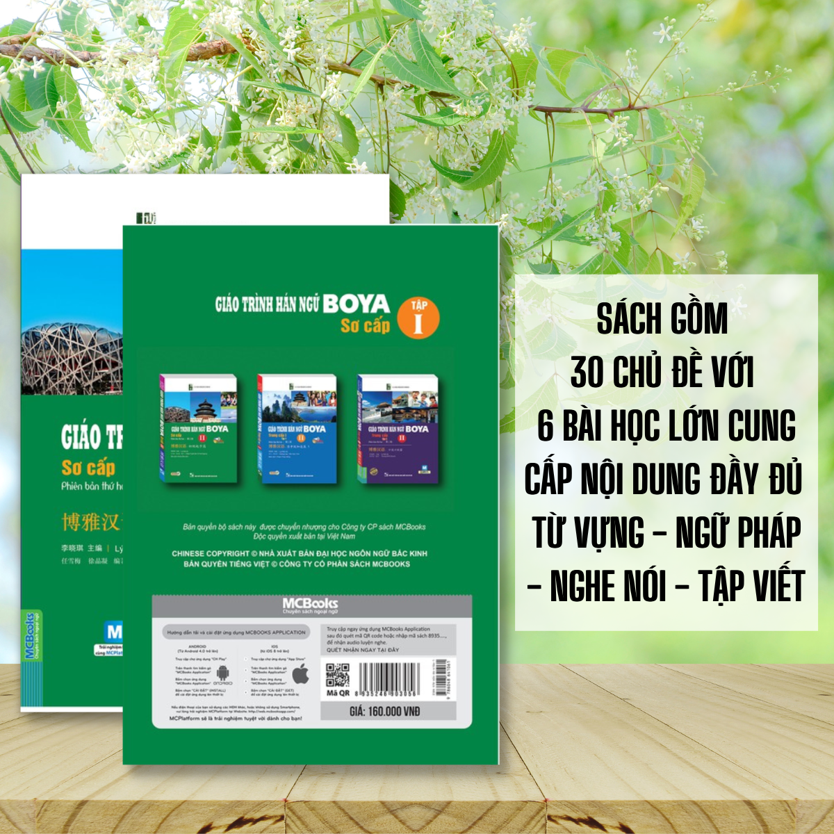 Combo Sách - Giáo Trình Hán Ngữ Boya Sơ Cấp 1 + Sách Bài Tập Đáp Án