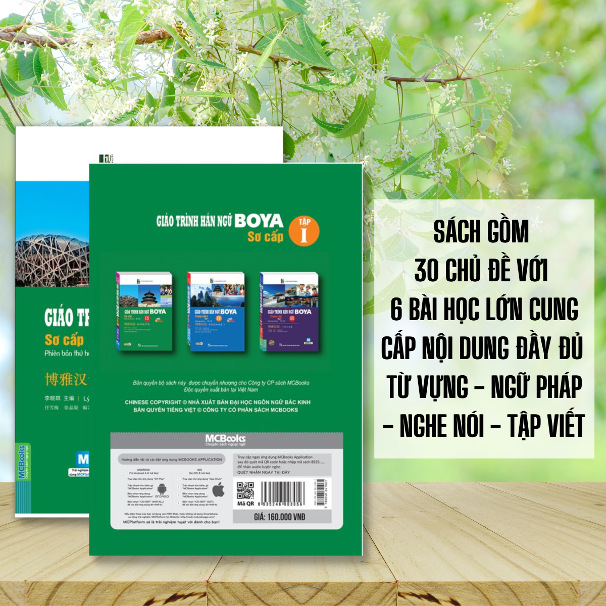 Combo Sách - Giáo Trình Hán Ngữ Boya Sơ Cấp 1 + Sách Bài Tập Đáp Án (Tái Bản - Kèm App)