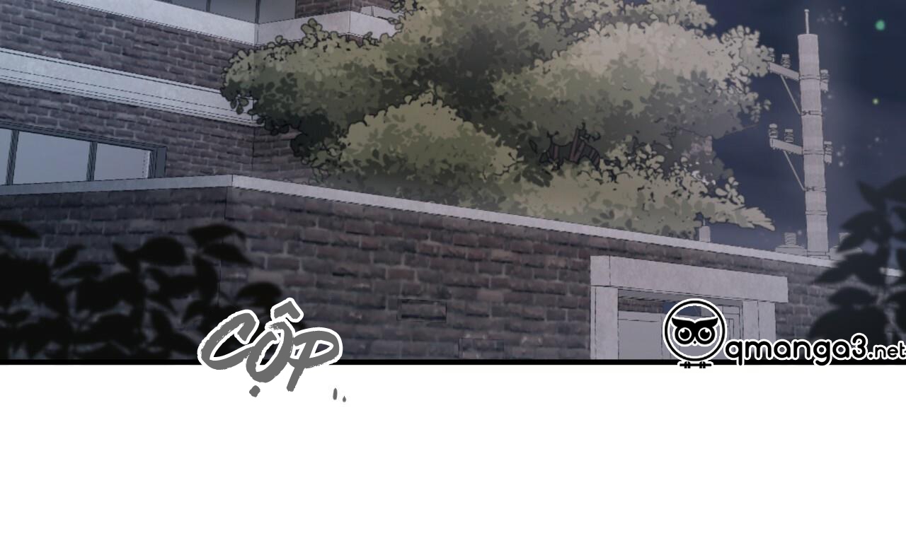 những chú thỏ của hapypy chapter 51 276