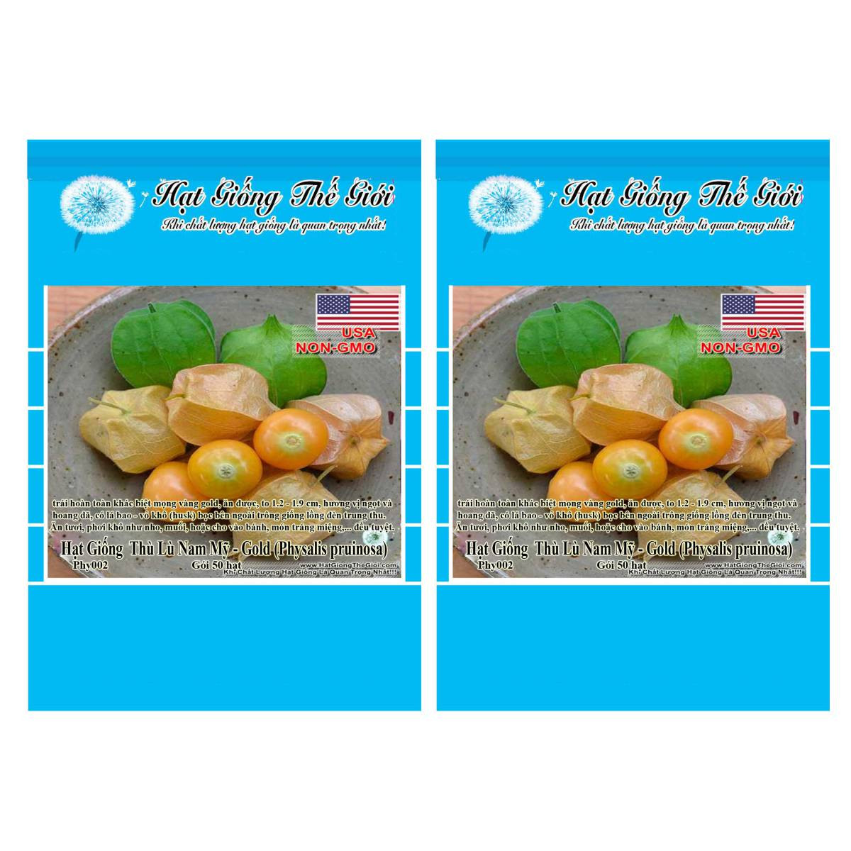 Bộ 2 Gói Hạt Giống Trái Anh Đào Đất/ Thù Lù Nam Mỹ - Gold (Physalis pruinosa) 50h