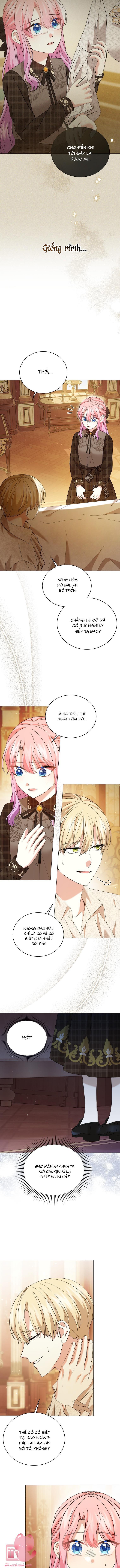 tiểu công chúa đang chờ hủy hôn chapter 33 4