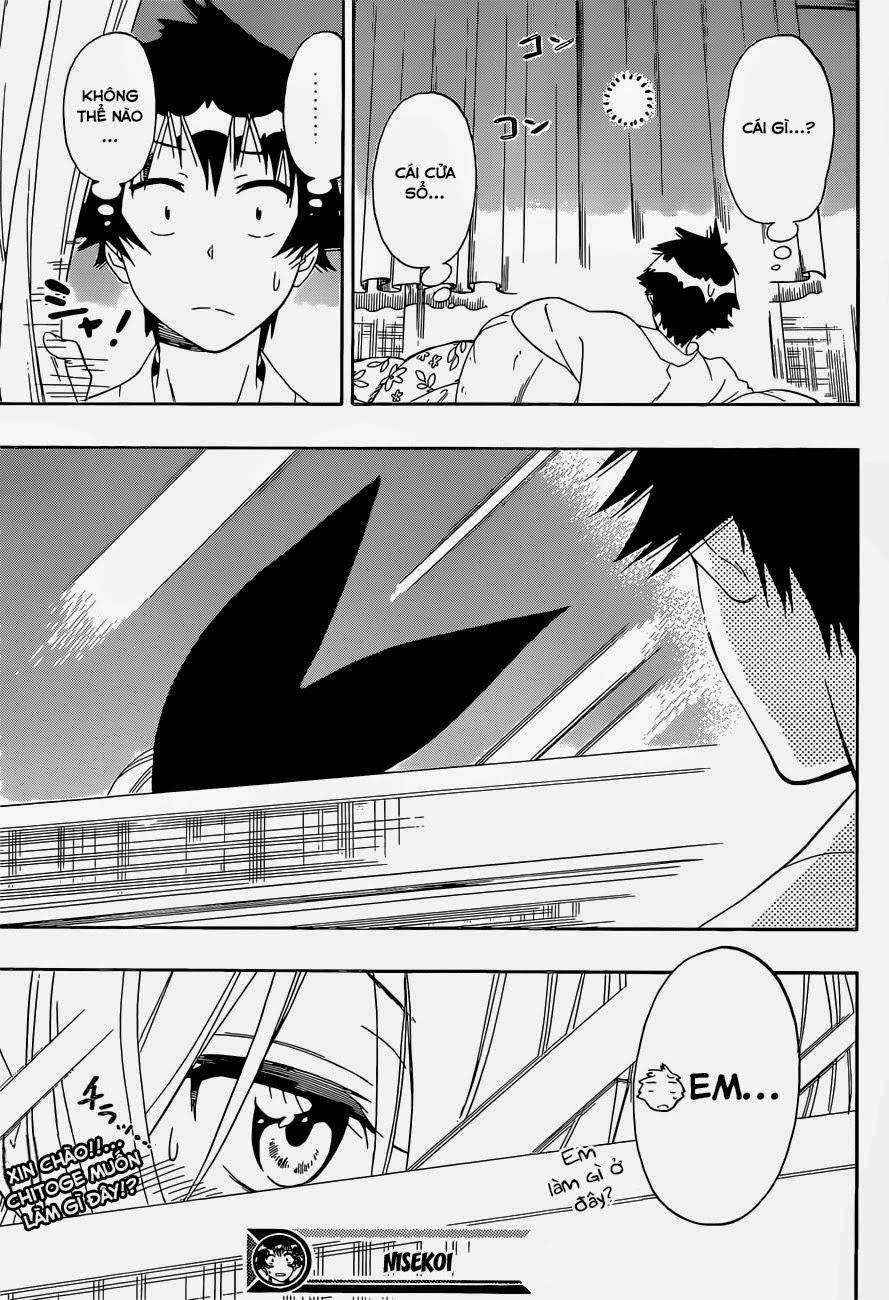 nisekoi - tình yêu giả tạo chapter 151 20