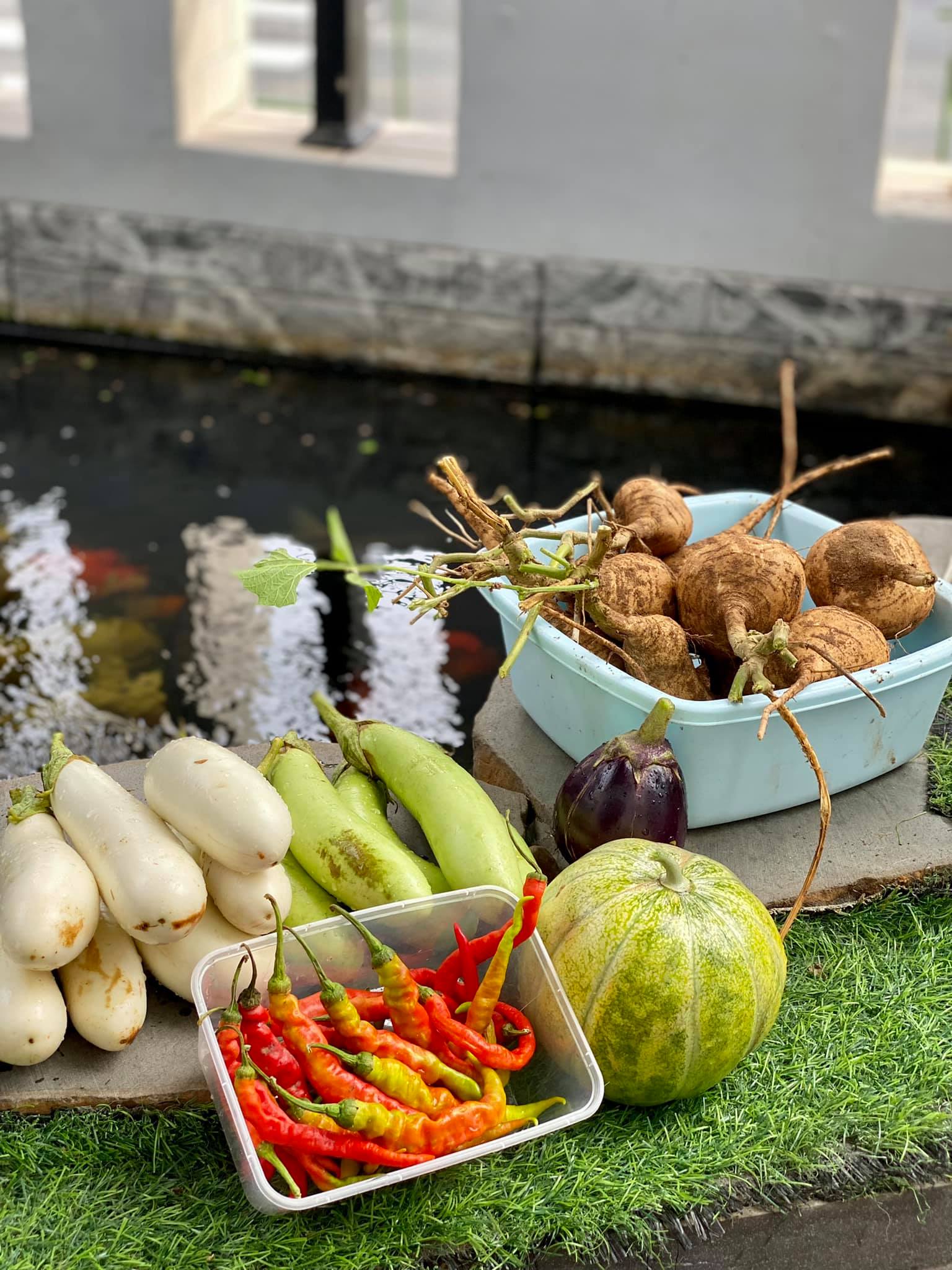 Phân trùn quế Sfarm 5kg