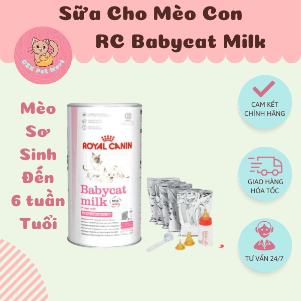 Sữa Cho Mèo Con - Royal Canin Babycat Milk | Lon 300gr