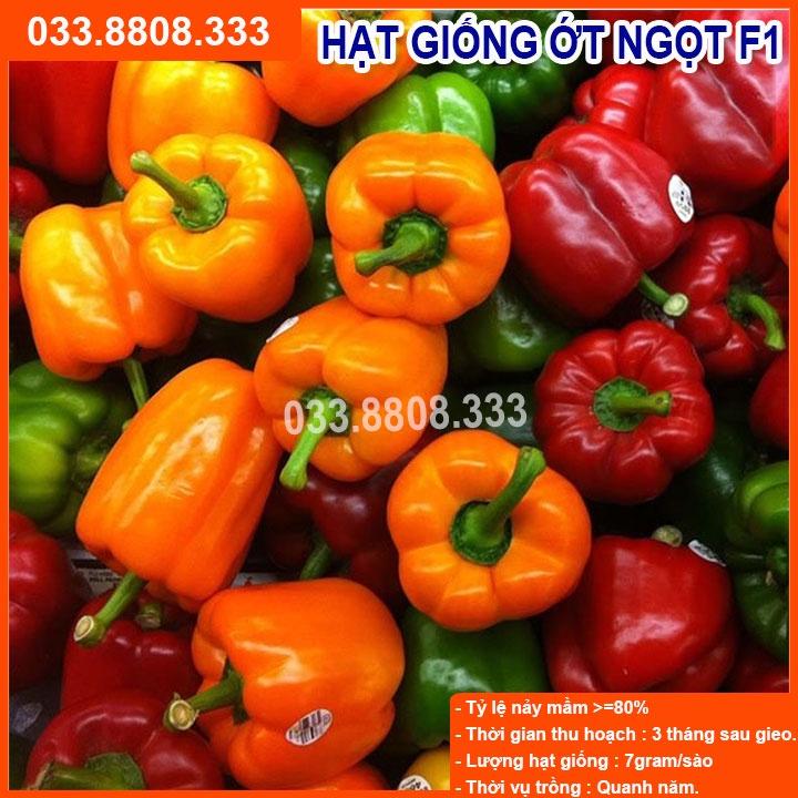 Hạt Giống Ớt Chuông - Quả To Tròn Nhiều Màu