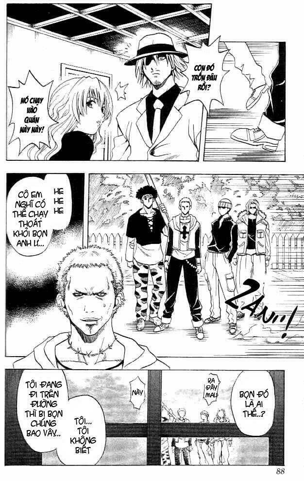 con mèo đen chapter 3 9