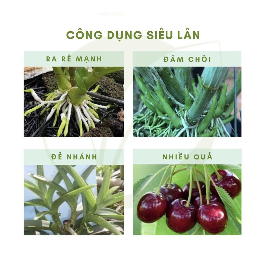 SIÊU LÂN XANH KÍCH RỄ MẠNH , ĐÂM CHỒI, ĐẺ NHÁNH , CHỐNG NGHẸT RỂ CHO CÂY VÀ HOA