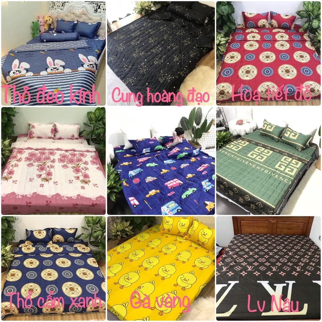 Ga trải giường,drap ga giường poly cotton,mẫu cành cúc xanh