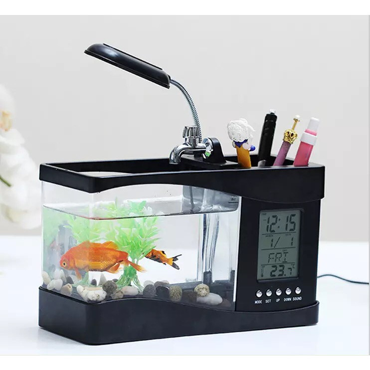 Bể cá mini để bàn làm việc