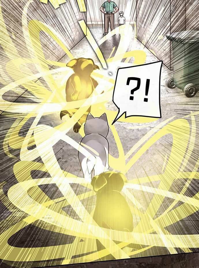 nụ hôn nguyền rủa chapter 28 27