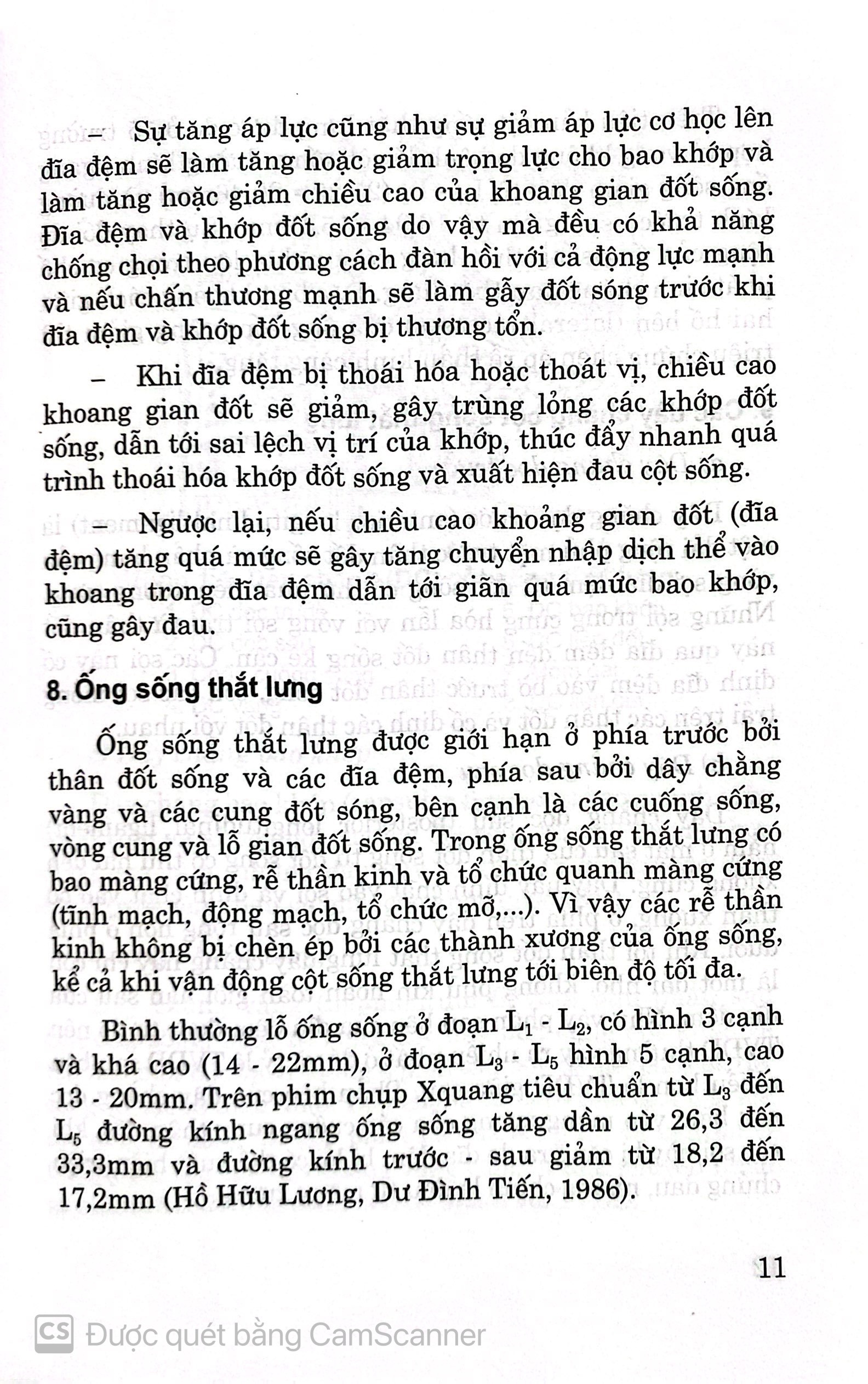 Benito - Sách - Đau thắt lưng và thoát vị đĩa đệm - NXB Y học