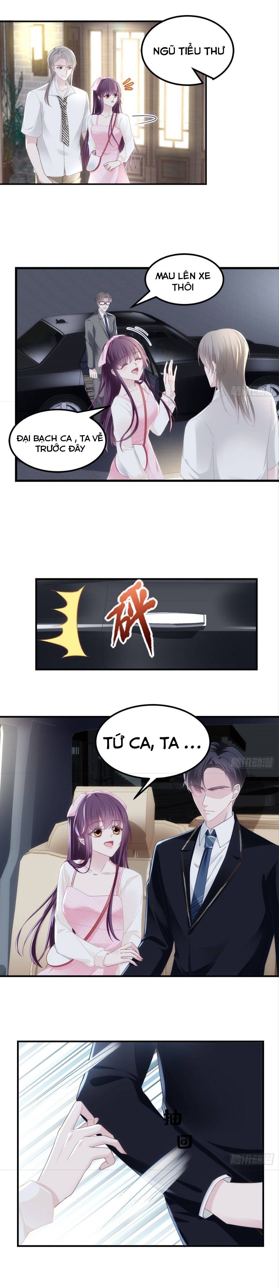 trọng sinh về chinh phục tổng tài chapter 40 11