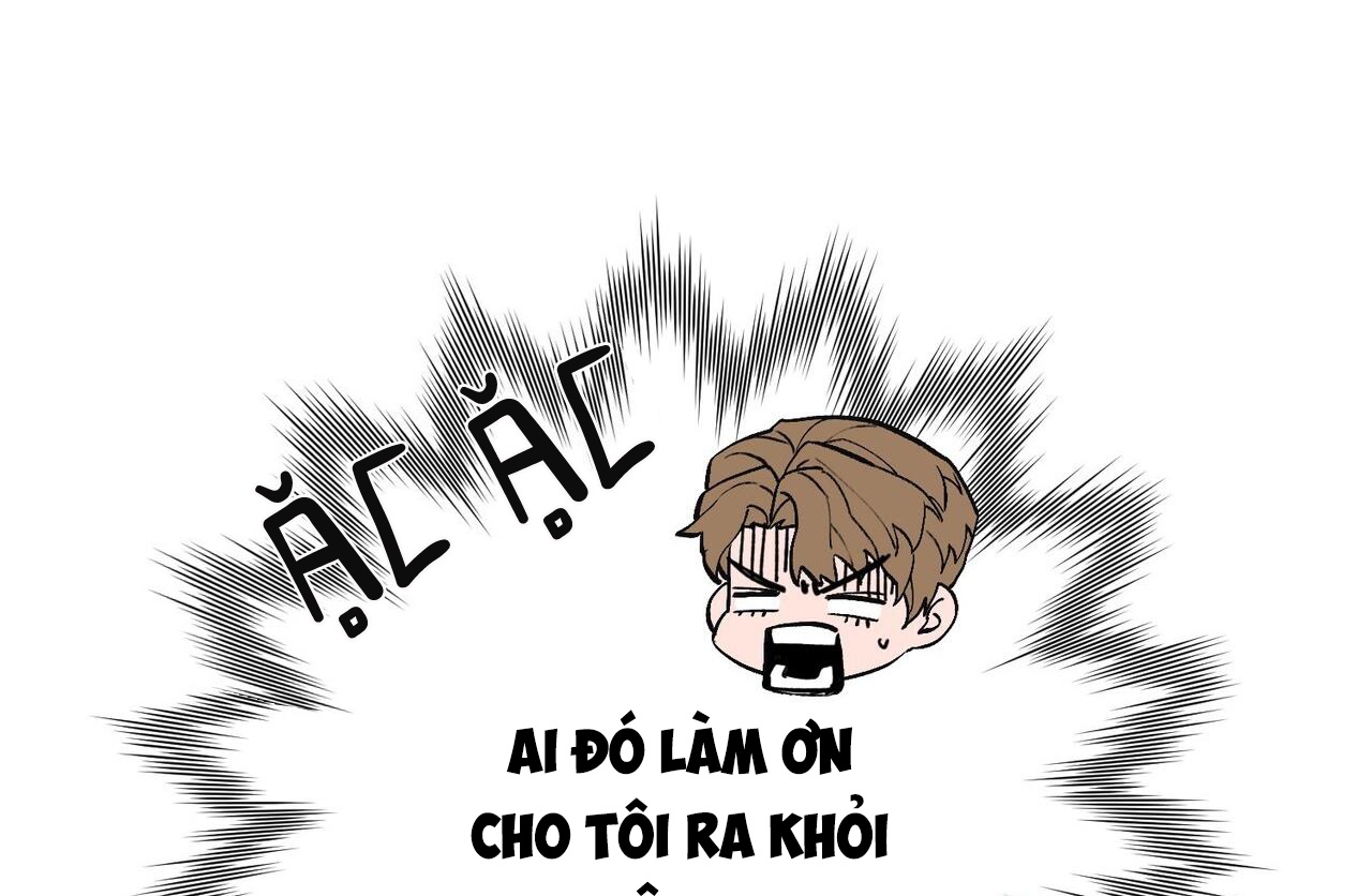 chàng dâu nhà họ kang chapter 43 107