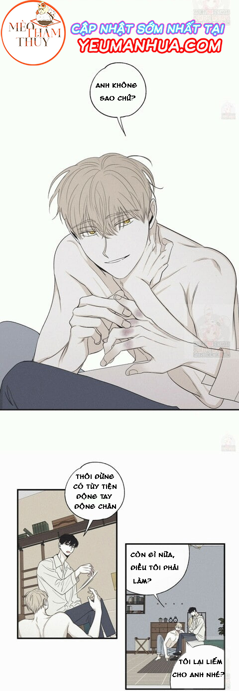 chiếu tướng chapter 16 10