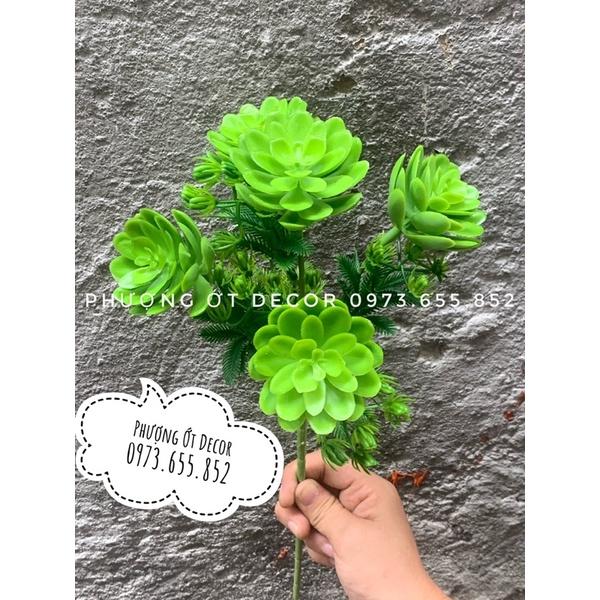 Cụm hoa sen đá giả, sen đá nhựa cắm điểm decor siêu đẹp