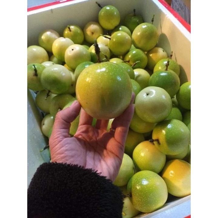 Cây Giống Chanh Dây Thái Lan