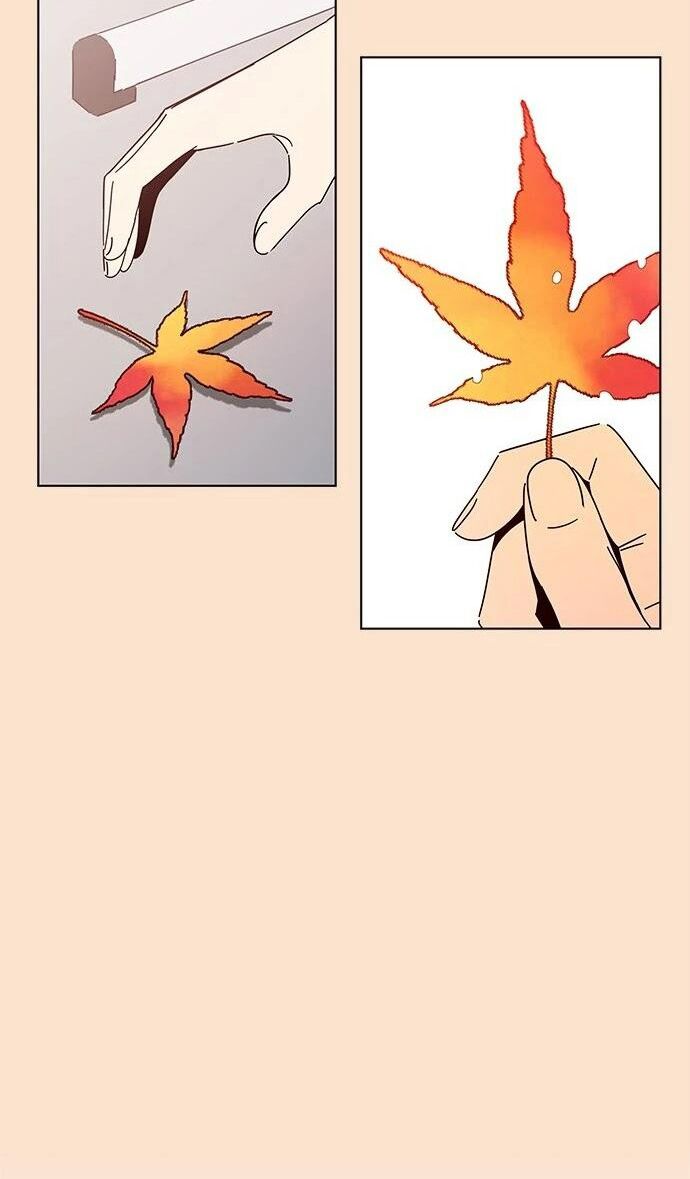 thanh xuân rực rỡ - season of blossom chapter 87 5