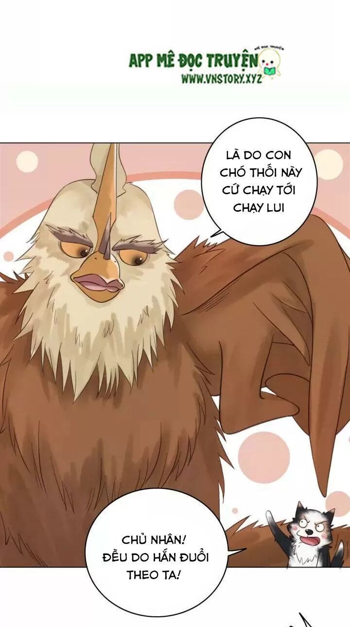 cực phẩm phế vật tiểu thư chapter 109 22