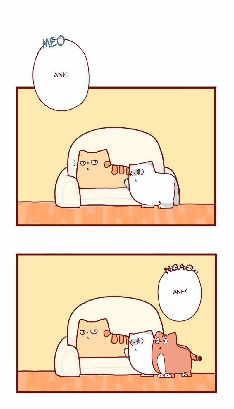 saphie: chú mèo một mắt chapter 15 10