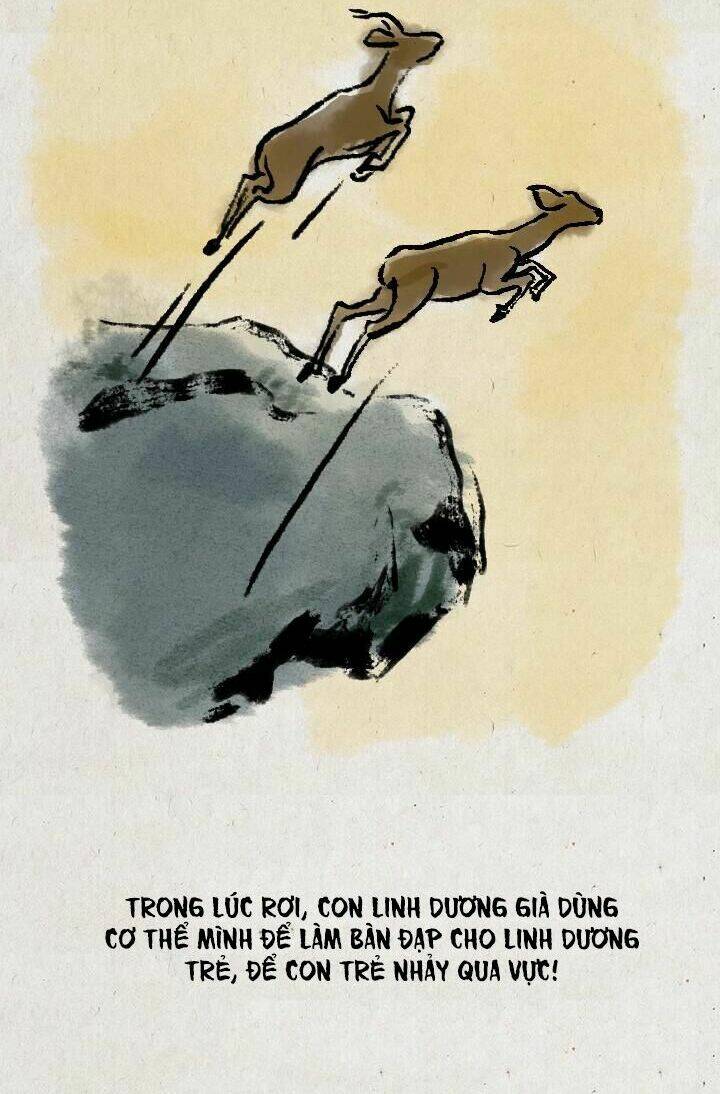 nhất thiền tiểu hòa thượng chapter 63 16