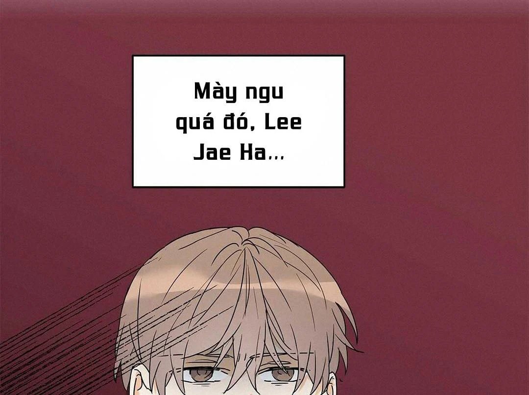 guide cấp b chapter 10 40