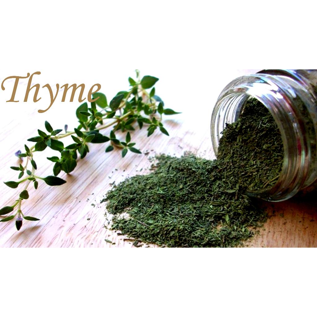Hạt Giống Cỏ Xạ Hương -